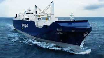 Shipping Line Agency